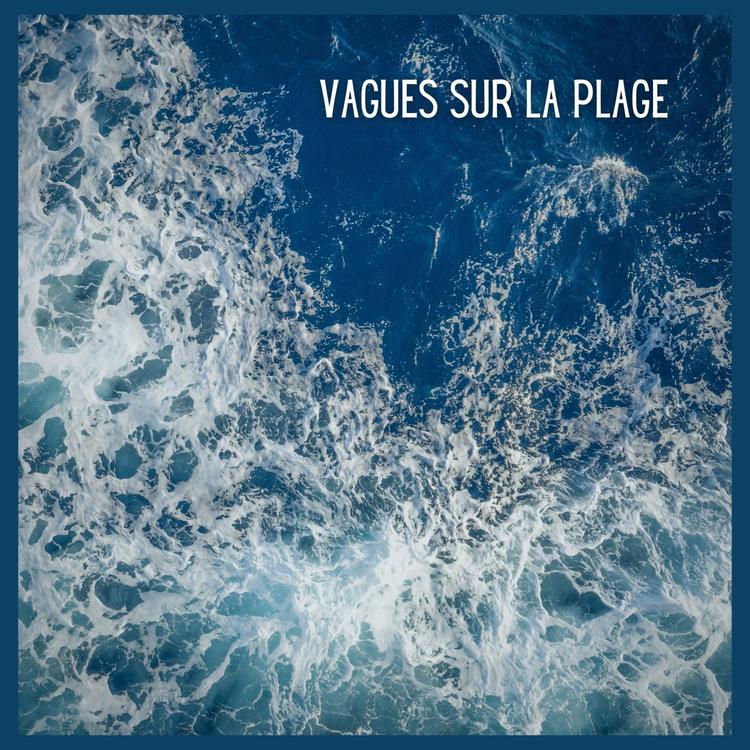 Bruit De La Mer's avatar image
