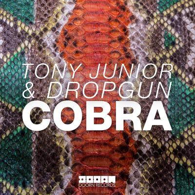 Cobra (Radio Edit) By Tony Junior, Dropgun's cover