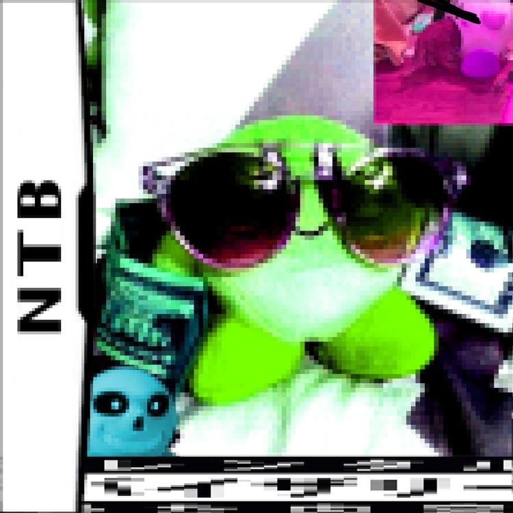 NTB's avatar image