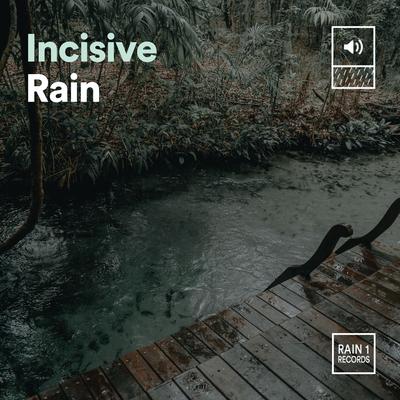 Incisive Rain's cover