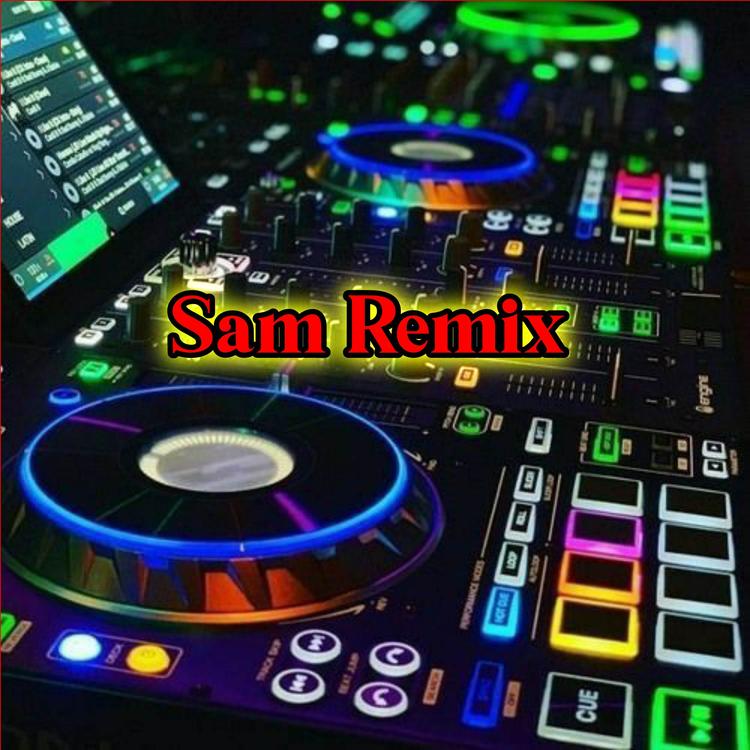 Sam Remix's avatar image