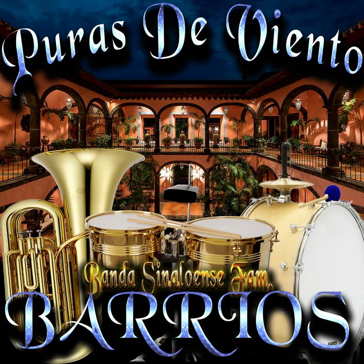 Banda Sinaloense Fam. Barrios's avatar image
