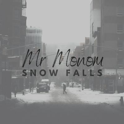 Mr Monom's cover