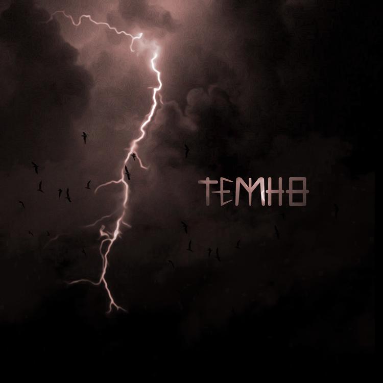 TEM NO's avatar image