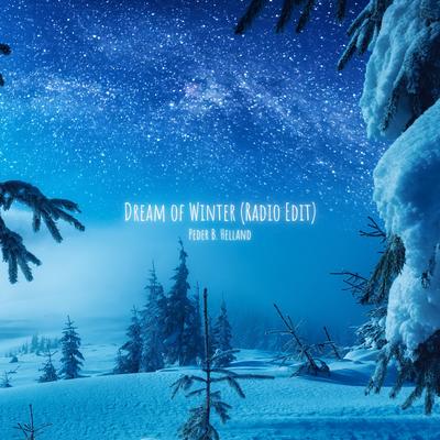 Dream of Winter (Radio Edit)'s cover