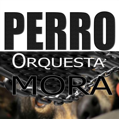 Qruqesta Mora's cover