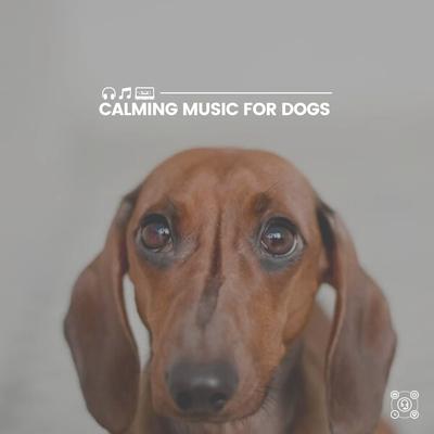 Anxiety Relief Music for Your Dog, Pt. 9's cover