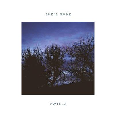 She's Gone By Vwillz's cover