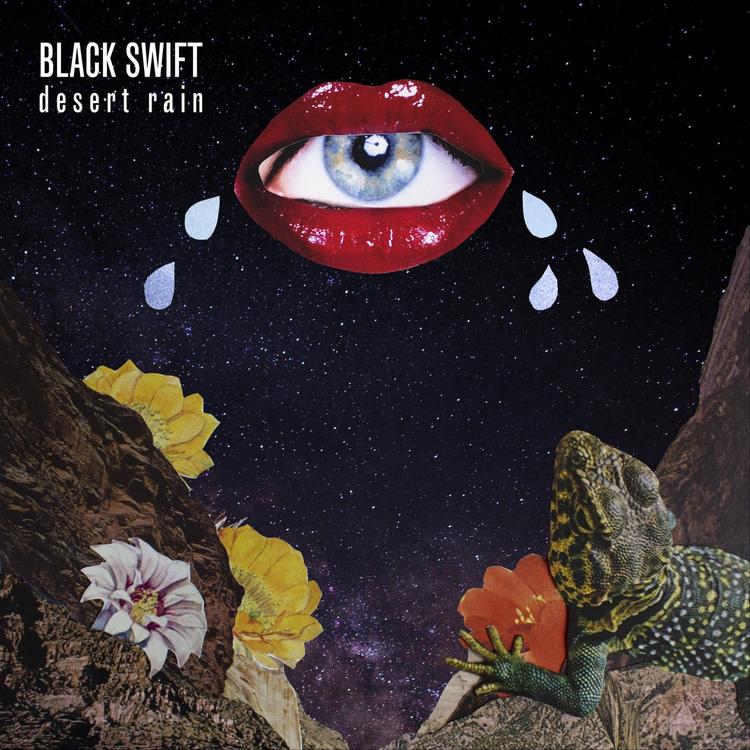 Black Swift's avatar image