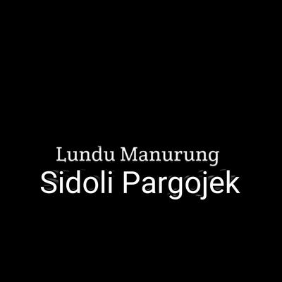 Sidoli Pargojek's cover