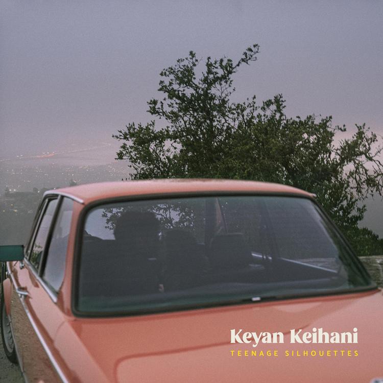 Keyan Keihani's avatar image