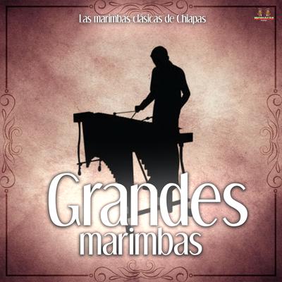 Las Marimbas Clasicas De Chiapas's cover