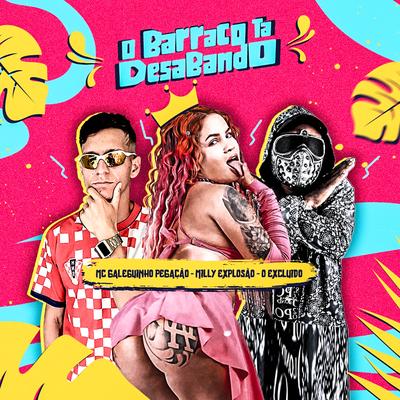 O Barraco Tá Desabando's cover