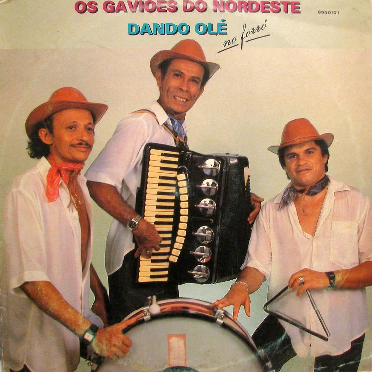 Os Gaviões do Nordeste's avatar image