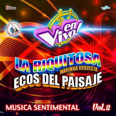 Musica Sentimental, Vol. 2. Música de Guatemala para los Latinos (En Vivo)'s cover