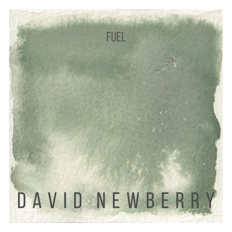 David Newberry's avatar image