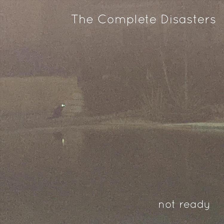 The Complete Disasters's avatar image