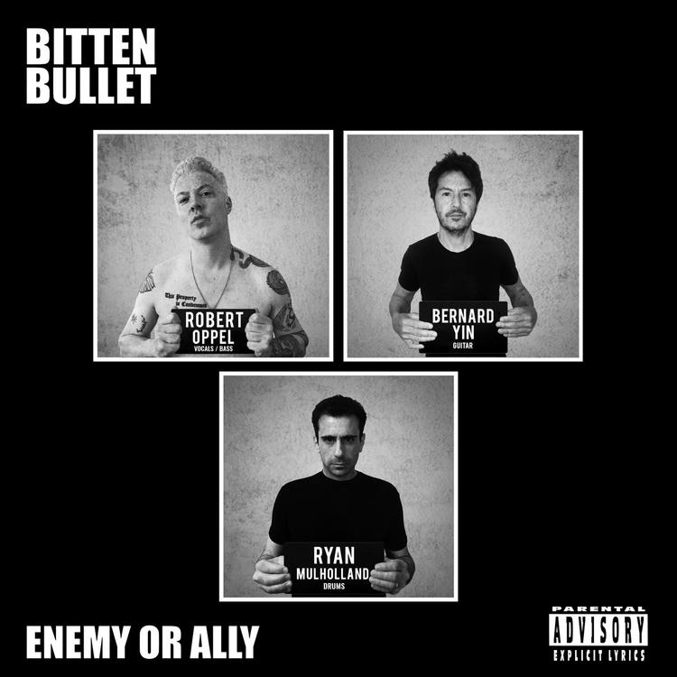 Bitten Bullet's avatar image