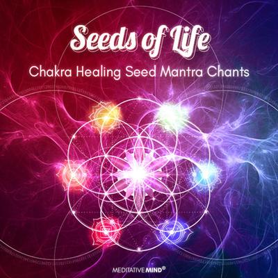 Third Eye Chakra Seed Mantra Chants's cover