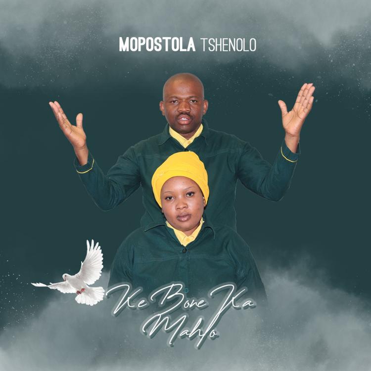 Mopostola Tshenolo's avatar image
