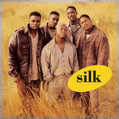 The Best of Silk's cover