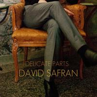 David Safran's avatar cover