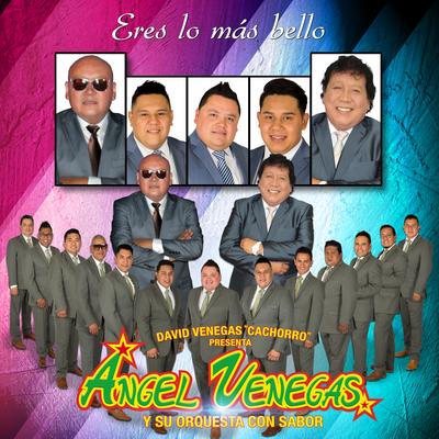 Eres Lo Más Bello (David Venegas Cachorro Presenta a Ángel Venegas y Su Orquesta Con Sabor)'s cover