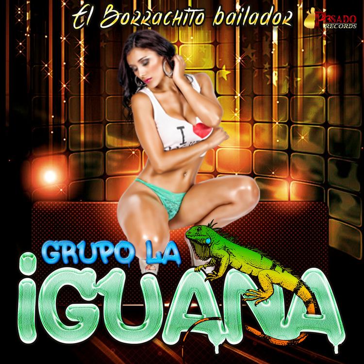 Grupo La Iguana's avatar image