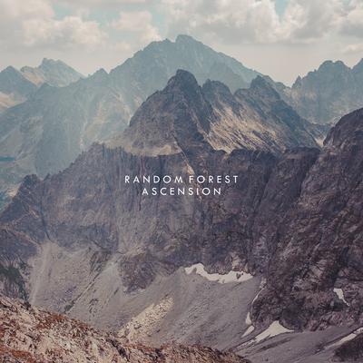 That Bird of Prey Casts a Long Shadow By Random Forest's cover