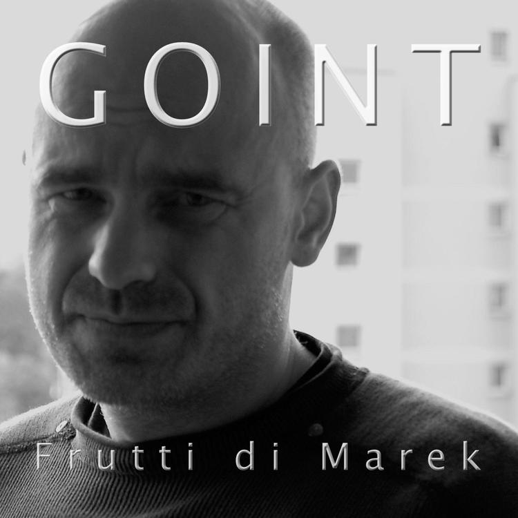 Goint's avatar image