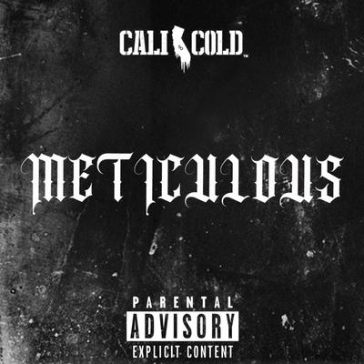 Meticulous's cover