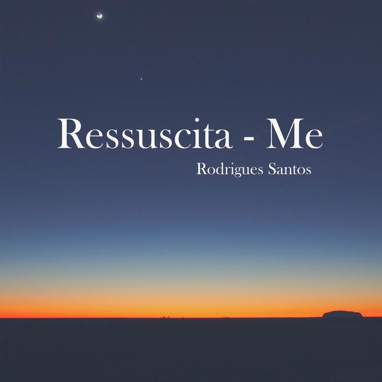 Rodrigues Santos's avatar image