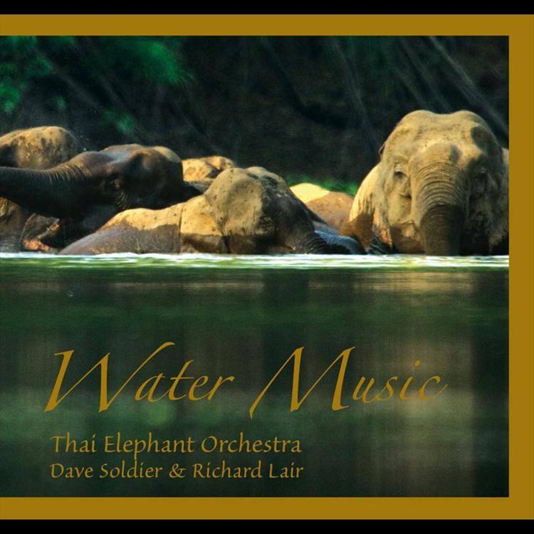 Thai Elephant Orchestra, Dave Soldier & Richard Lair's avatar image