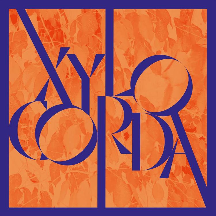 XyloCorda's avatar image