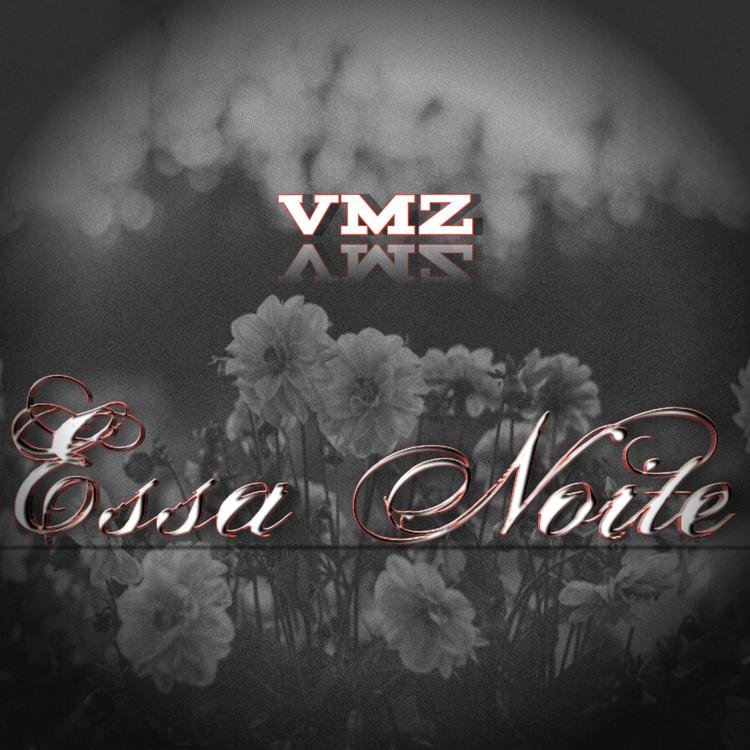 VMZ's avatar image