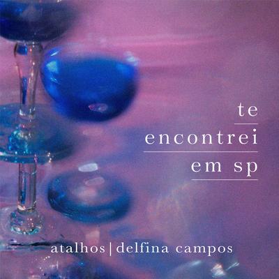 Te Encontrei Em SP By Atalhos, Delfina Campos's cover