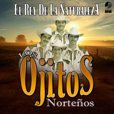 Los Ojitos Norteños's cover
