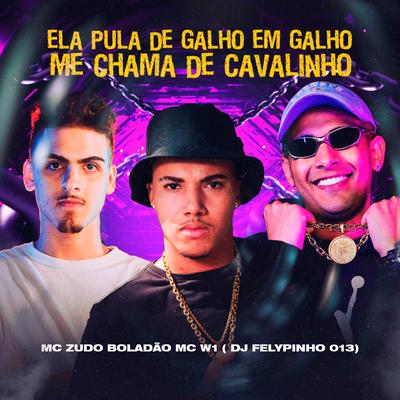 Ela Pula de Galho em Galho - Me Chama de Cavalinho By MC Zudo Boladão, MC W1, DJ FELYPINHO 013's cover