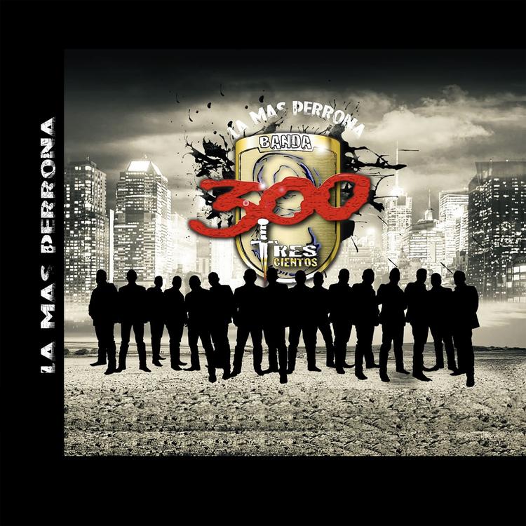 Banda 300's avatar image