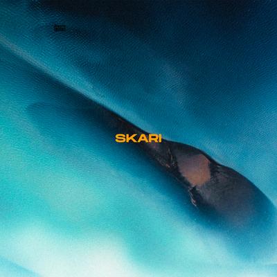 Skari By o k h o's cover