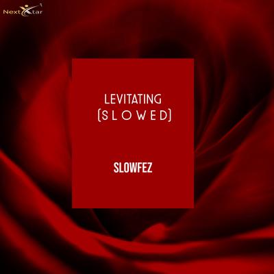 Levitating (S L O W E D)'s cover