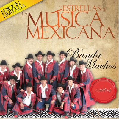 Las Estrellas de la Musica Mexicana (USA)'s cover