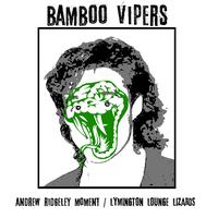 Bamboo Vipers's avatar cover