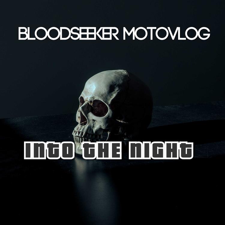 BLOODSEEKER MOTOVLOG's avatar image