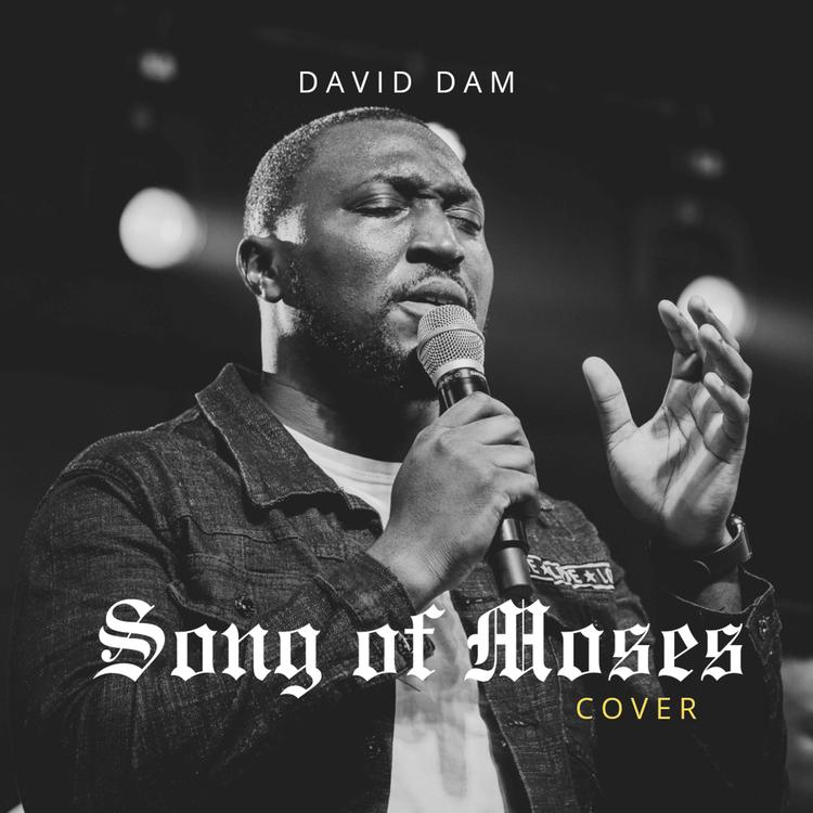 David Dam's avatar image