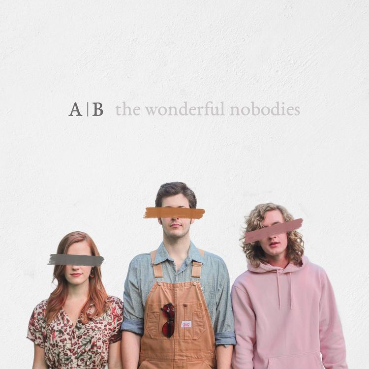 The Wonderful Nobodies's avatar image