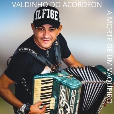 VALDINHO DO ACORDEON's cover