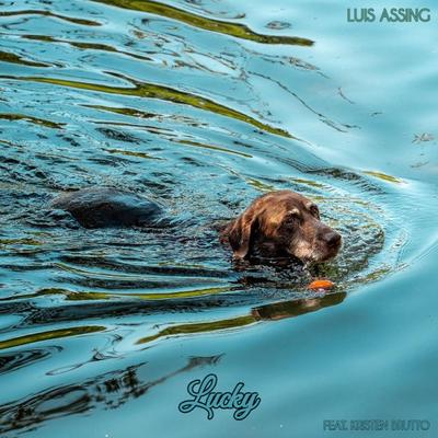 Luis Assing's cover