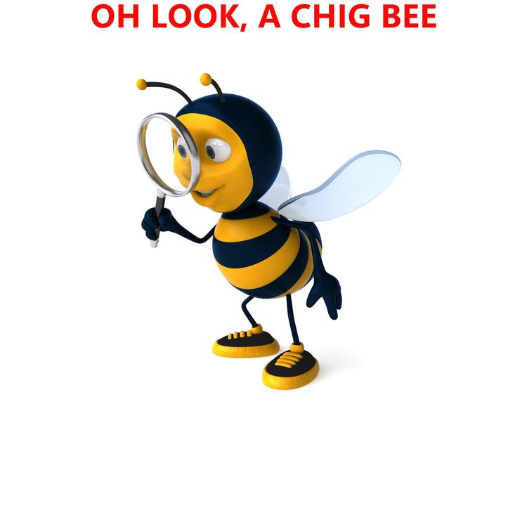 Chi-G's avatar image
