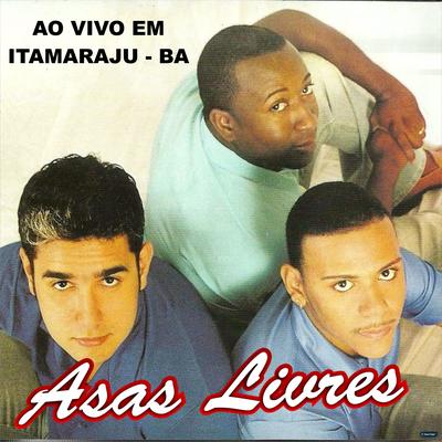 Não Vivo Sem Você By Asas Livres's cover